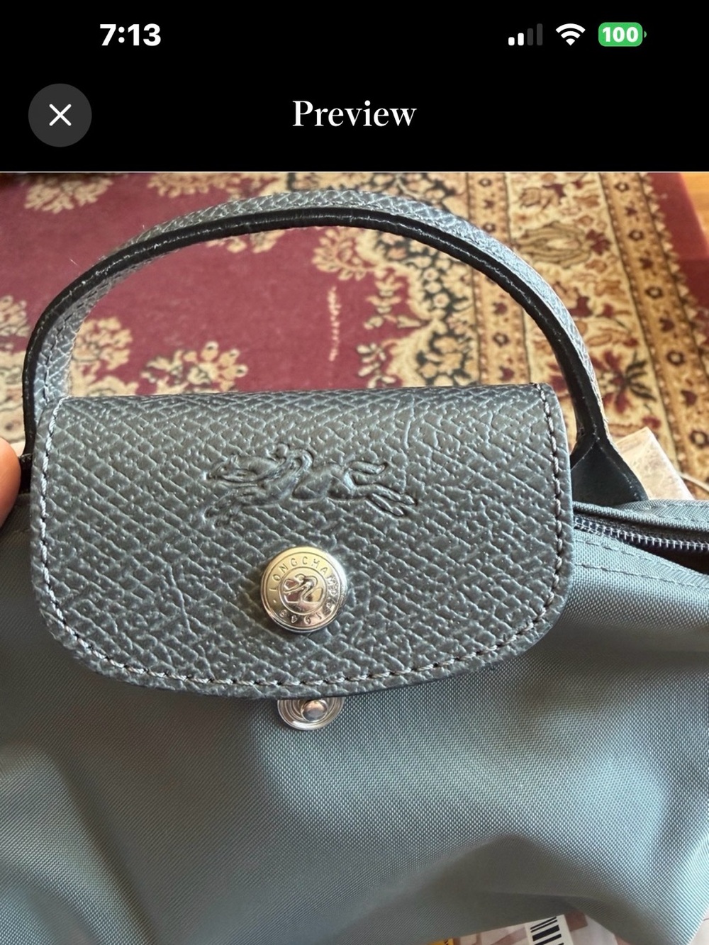 Longchamp Grey Makeup pouch.